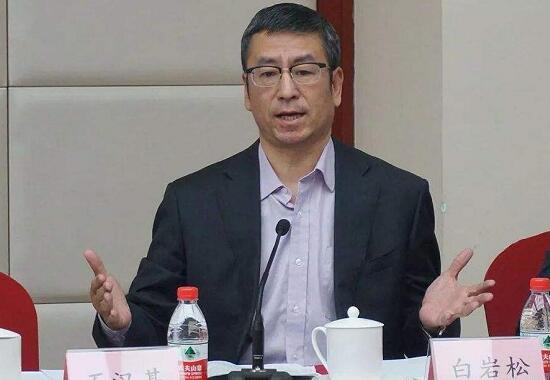 武漢“封城”效果是否明顯？上班后食堂集中用餐如何防護(hù)？白巖松連線